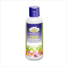 Plant Shampoo For Clean And Shiny Plants